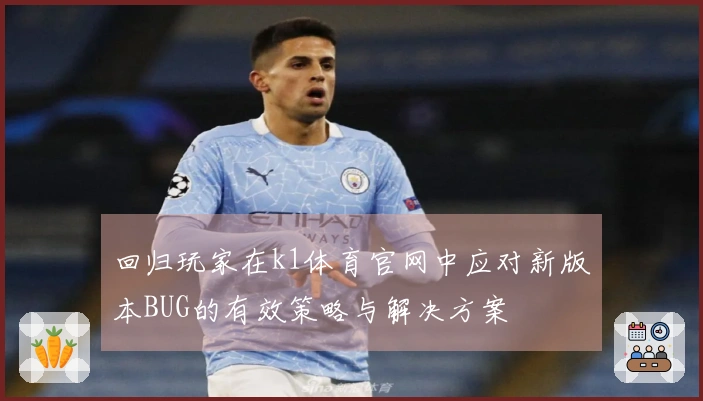 回归玩家在k1体育官网中应对新版本BUG的有效策略与解决方案